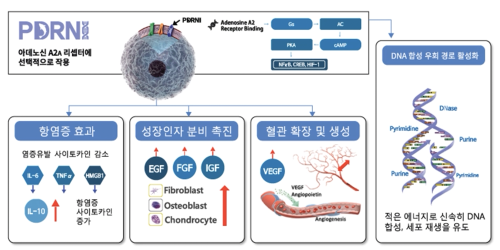 이미지명